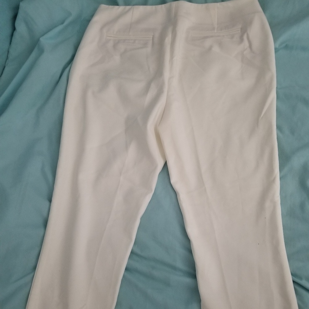 Cream  gold zipper dress pants